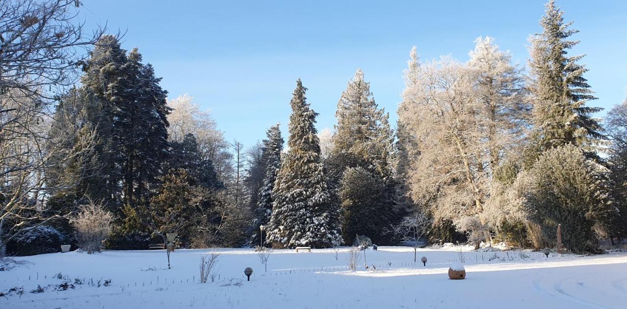 Maisonmazerand Cirey-sur-Vezouze Eksteriør bilde