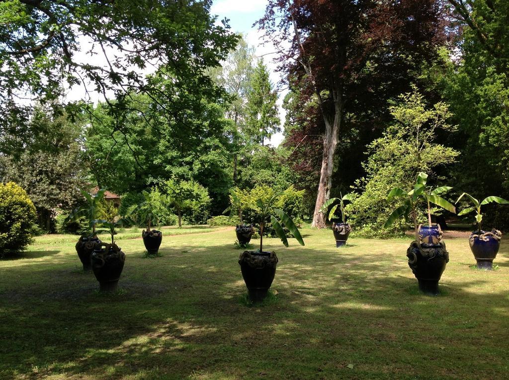 Maisonmazerand Cirey-sur-Vezouze Eksteriør bilde