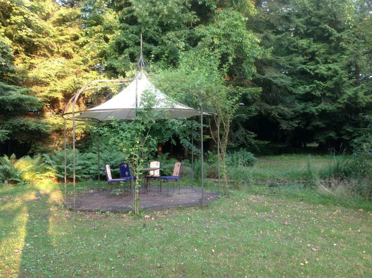 Maisonmazerand Cirey-sur-Vezouze Eksteriør bilde